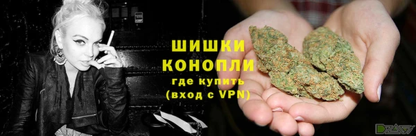 бошки Аркадак