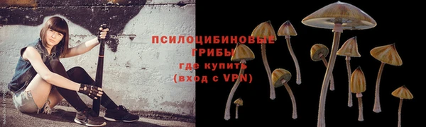 бошки Аркадак