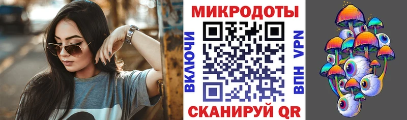 Псилоцибиновые грибы MAGIC MUSHROOMS  мега как зайти  Прохладный  продажа наркотиков 