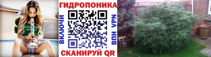 mega tor  Прохладный  МАРИХУАНА Bruce Banner 